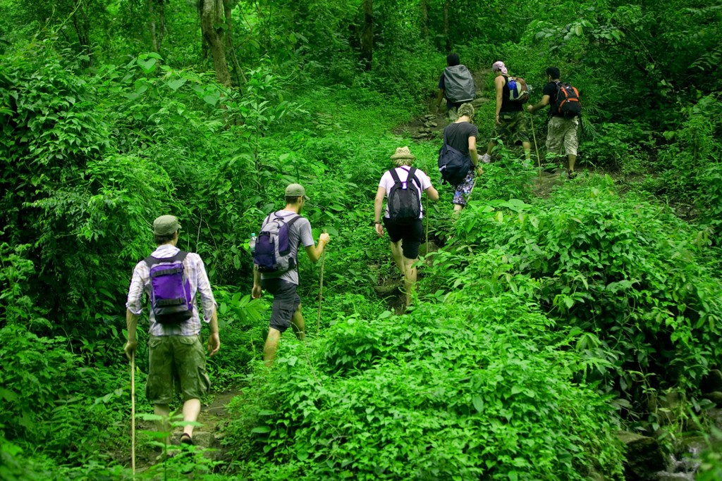 Groepsrondreis Thailand: wandelaars met rugzakken op een junglepad tijdens een trekking.