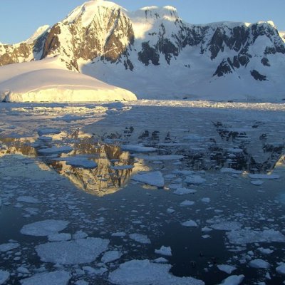 Koningspinguïns in een kolonie op South Georgia tijdens een groepsrondreis Antarctica en de Poolcirkel.