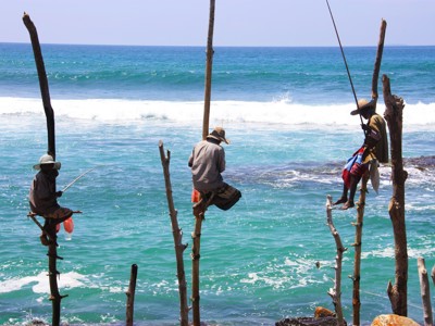 Steltvissers aan de kust van Sri Lanka tijdens de Route Sri Lanka.