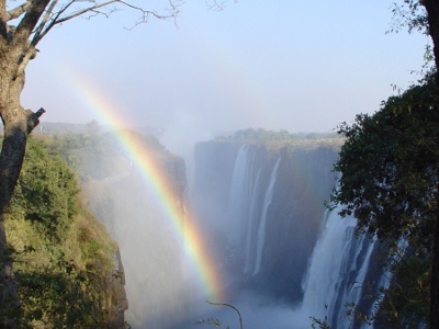 Regenboog boven de Victoria Falls in Zimbabwe, met nevel en watervallen in de kloof.