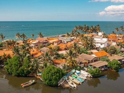 Palmboomlandschap in Sri Lanka tijdens een 15-daagse fietsreis.