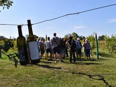 Wijnflessen aan draad bij wijngaard met groep reizigers tijdens Route Georgië, dag 4.