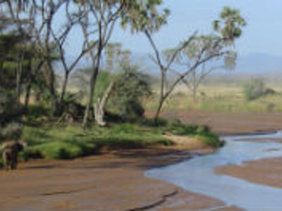 Olifant bij een rivier in de savanne tijdens de route Kenia, Tanzania en Zanzibar.