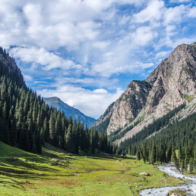 Groene bergvallei met rivier en dennenbossen in Kirgistan, tijdens een wandelreis langs de Zijderoute.