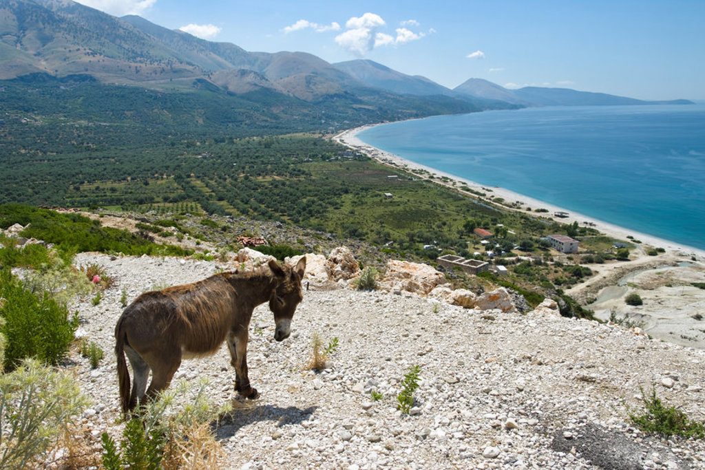 Ezel op rotsachtig pad met uitzicht op de Albanese Rivièra en de Ionische Zee tijdens een wandelvakantie in Albanië.