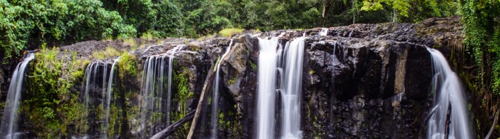 Waterval in het regenwoud van de Atherton Tablelands in Australië.