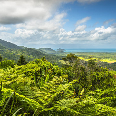 Uitzicht over tropisch regenwoud en kustlijn in Australië tijdens een 22-35ers groepsrondreis.
