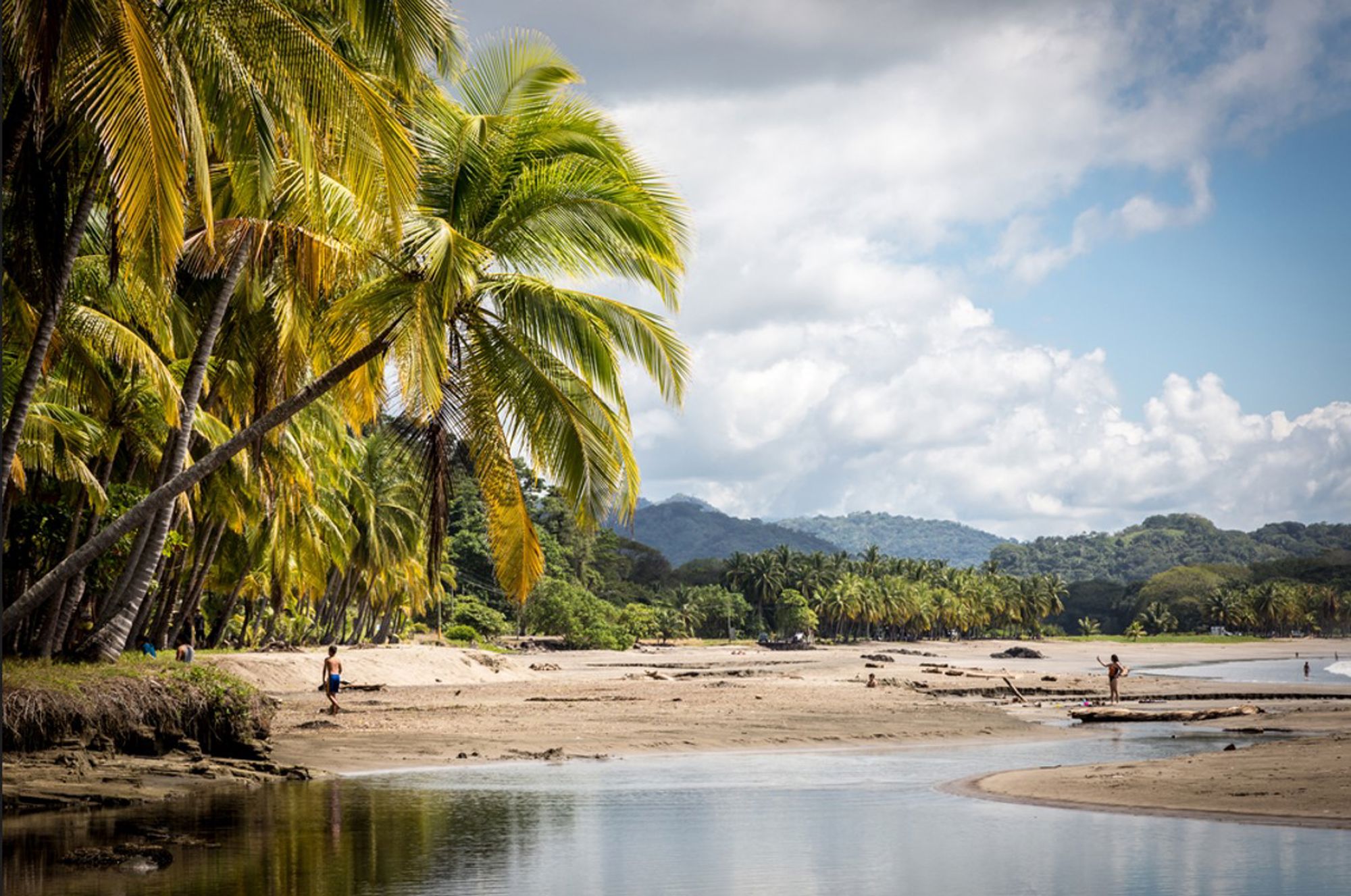Palmenstrand aan de kust van Costa Rica met riviermonding en bergen op de achtergrond.