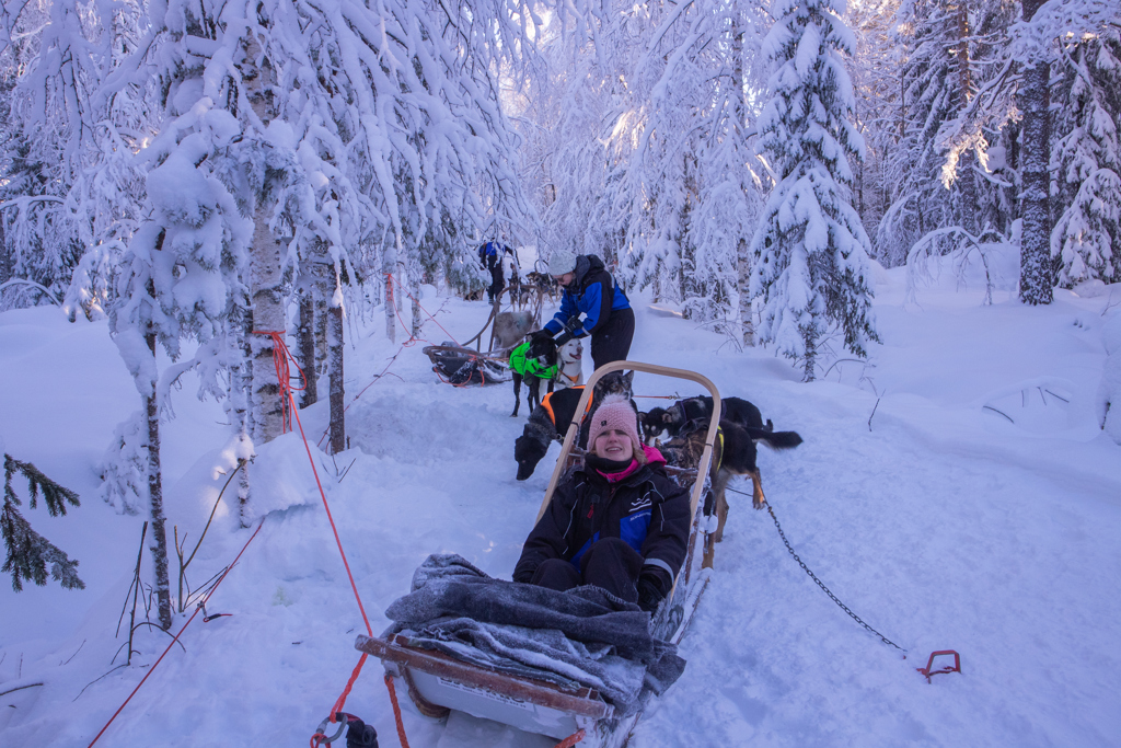 Huskytocht met slee door besneeuwd bos in Lapland tijdens familiereis in de winter.