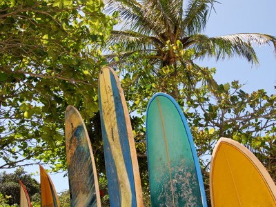 Surfplanken in het zand onder palmbomen op het strand in Brazilië.