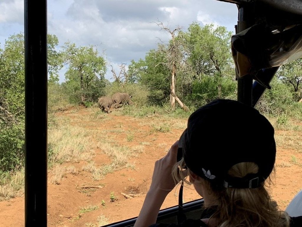 Silhouet van een giraffe tijdens safari in Zuid-Afrika, 22-35ers rondreis.