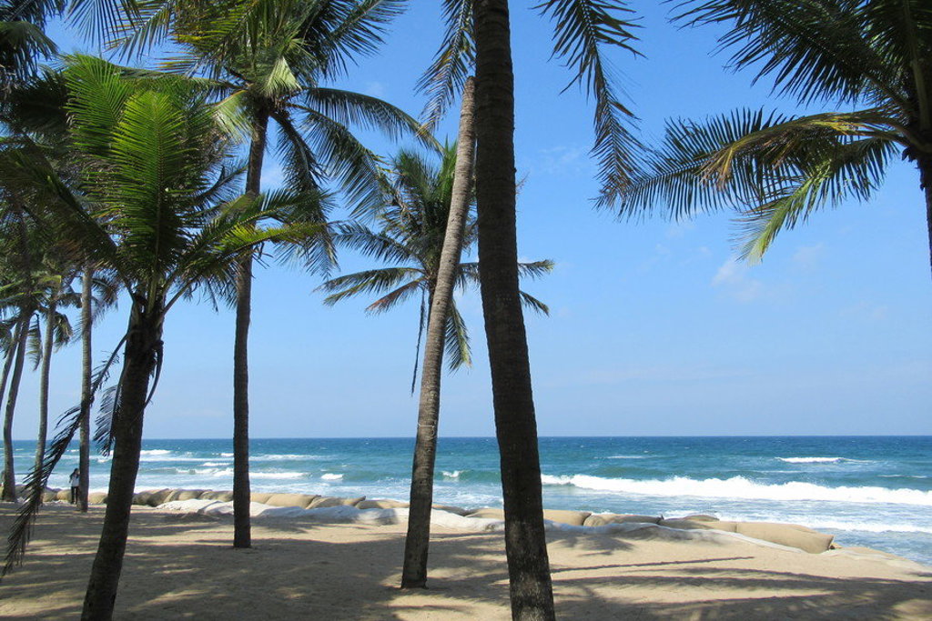 Palmbomen aan een zandstrand aan de kust van Vietnam tijdens een 22-35ers groepsreis.