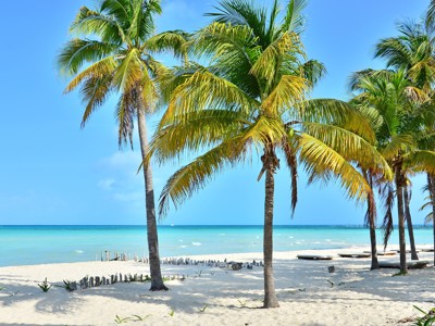 Palmbomen op wit zandstrand aan de Caribische kust van Mexico tijdens Route Mexico.