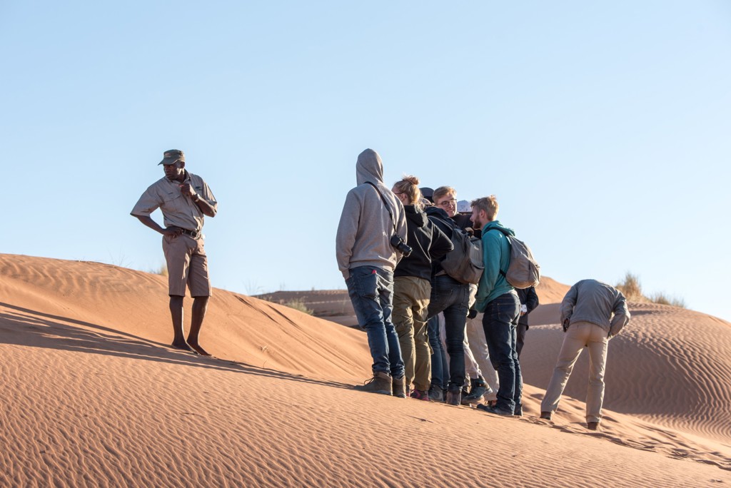 Reizigers luisteren naar een gids tijdens een wandeling over zandduinen in Namibië, Botswana en Zimbabwe.