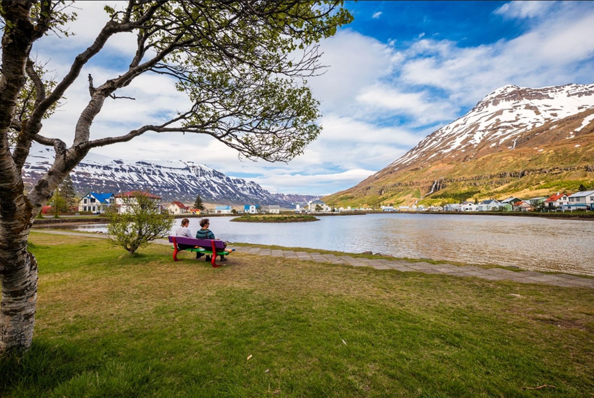 Uitzicht over een fjord met kleurrijke huizen en besneeuwde bergen in IJsland.
