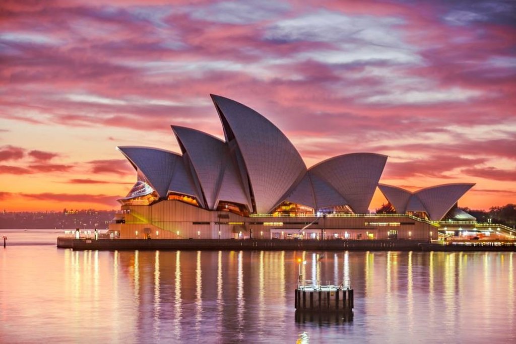 Groene achtergrond met subtiele bladeren, sfeerbeeld voor groepsrondreis Australië van Sydney naar Darwin.