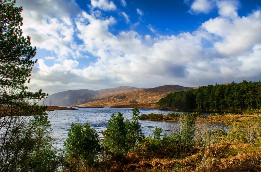 Berglandschap met meer en dennenbos in Noord-Ierland en Ierland, onder een blauwe lucht met wolken.