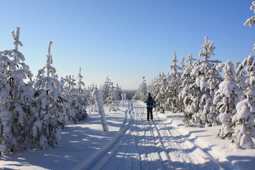 Langlaufen door een besneeuwd bos in Lapland tijdens een familiereis in de winter.