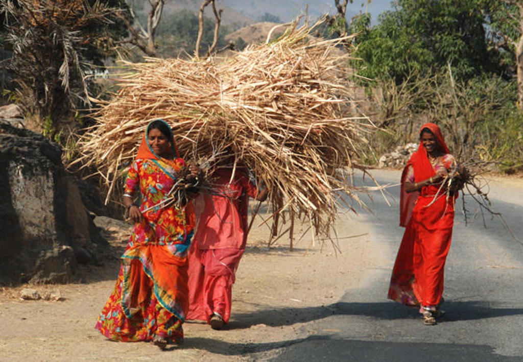 Vrouwen in kleurrijke sari’s dragen bundels riet langs een weg in Noord-India tijdens een groepsrondreis.