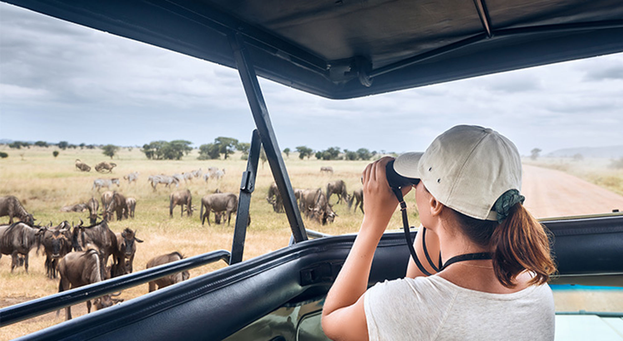 Toerist spot wildebeesten tijdens safari in Tanzania.