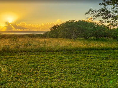 Bonamanzi Game park