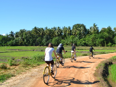 Fietstocht langs rijstvelden op Route Sri Lanka, met palmbomen en een zandweg onder blauwe lucht.
