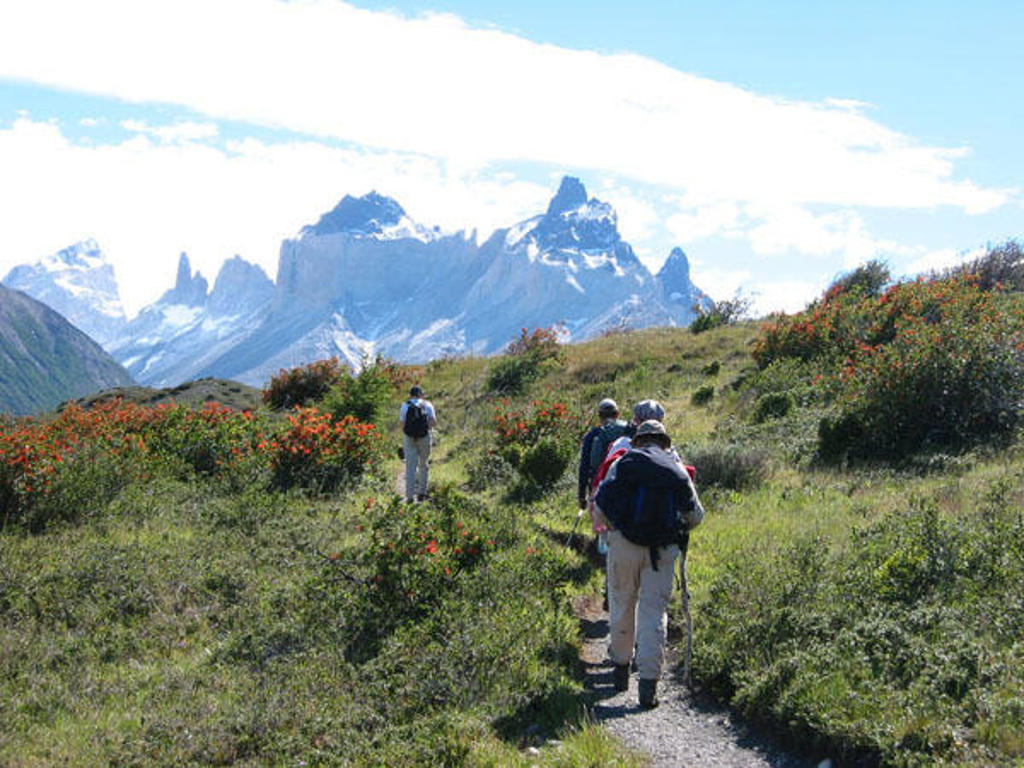 Wandelaars op een bergpad in Patagonië met besneeuwde pieken op de achtergrond.