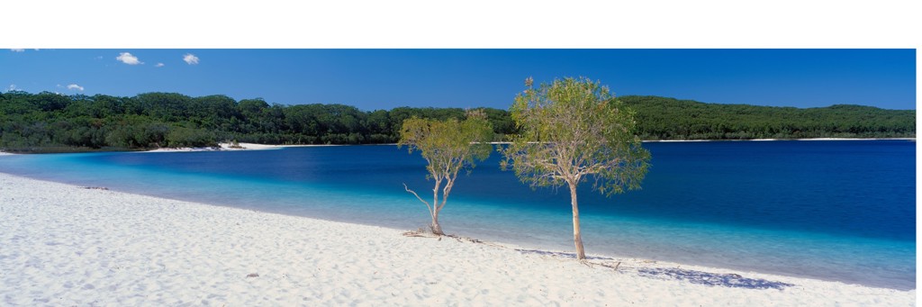 Wit zandstrand met helderblauw water en bomen aan de kust in Australië, ideaal voor een 22-35ers reis.