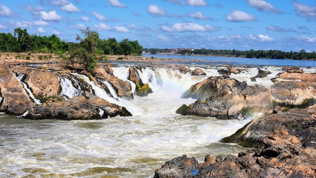 Uitzicht op groene rijstvelden met palmbomen tijdens een groepsrondreis Laos & Cambodja.