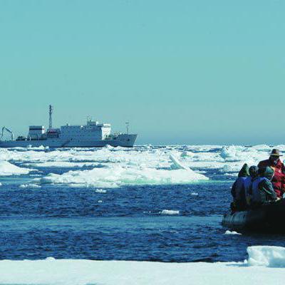 IJsbeer op pakijs tijdens groepsrondreis Spitsbergen, Groenland en IJsland.