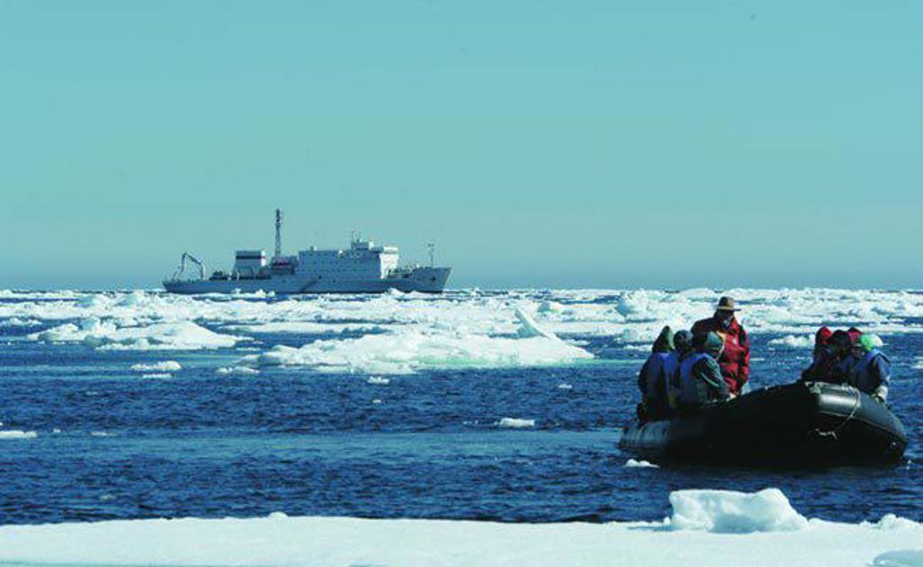 IJsbeer op pakijs tijdens groepsrondreis Spitsbergen, Groenland en IJsland.
