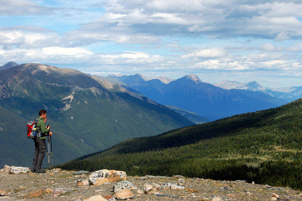 Wandelaar met rugzak kijkt uit over bergen en bossen in West-Canada tijdens een groepsrondreis.