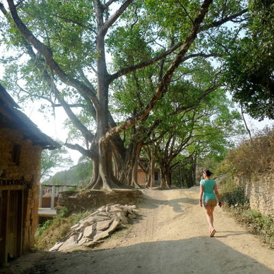 Wandelaar op zandpad langs grote bomen en stenen muren tijdens een actieve groepsrondreis in Nepal.