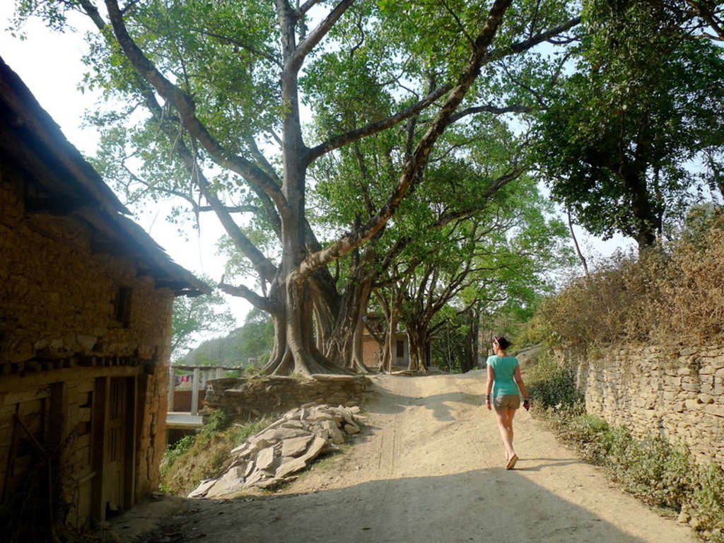 Wandelaar op zandpad langs grote bomen en stenen muren tijdens een actieve groepsrondreis in Nepal.