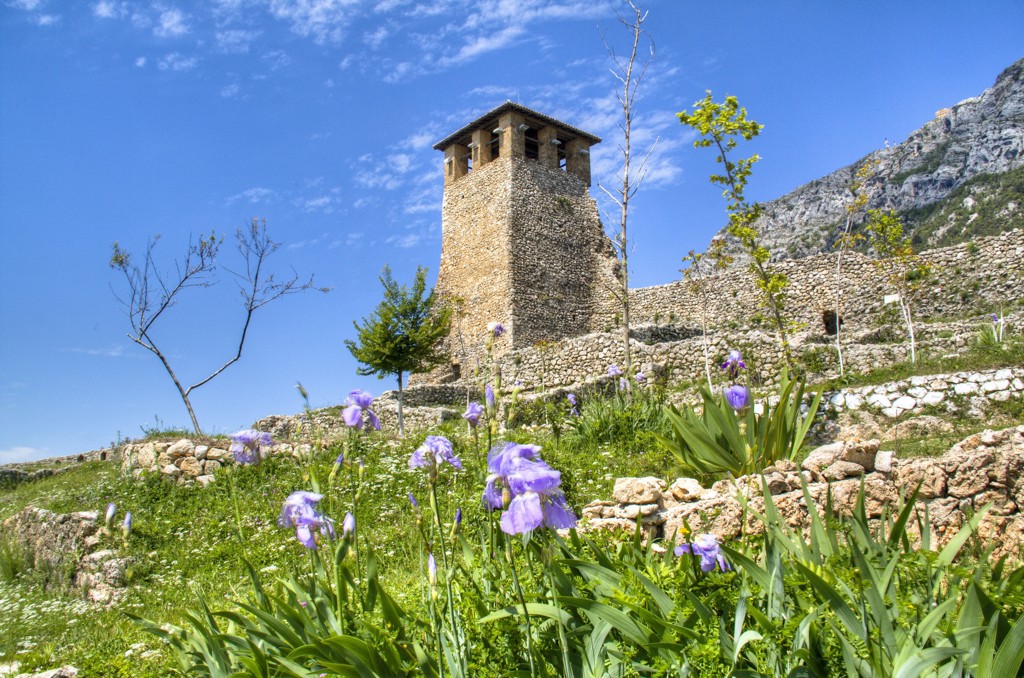 Stenen wachttoren bij kasteel van Berat in Albanië, met paarse bloemen op de voorgrond.