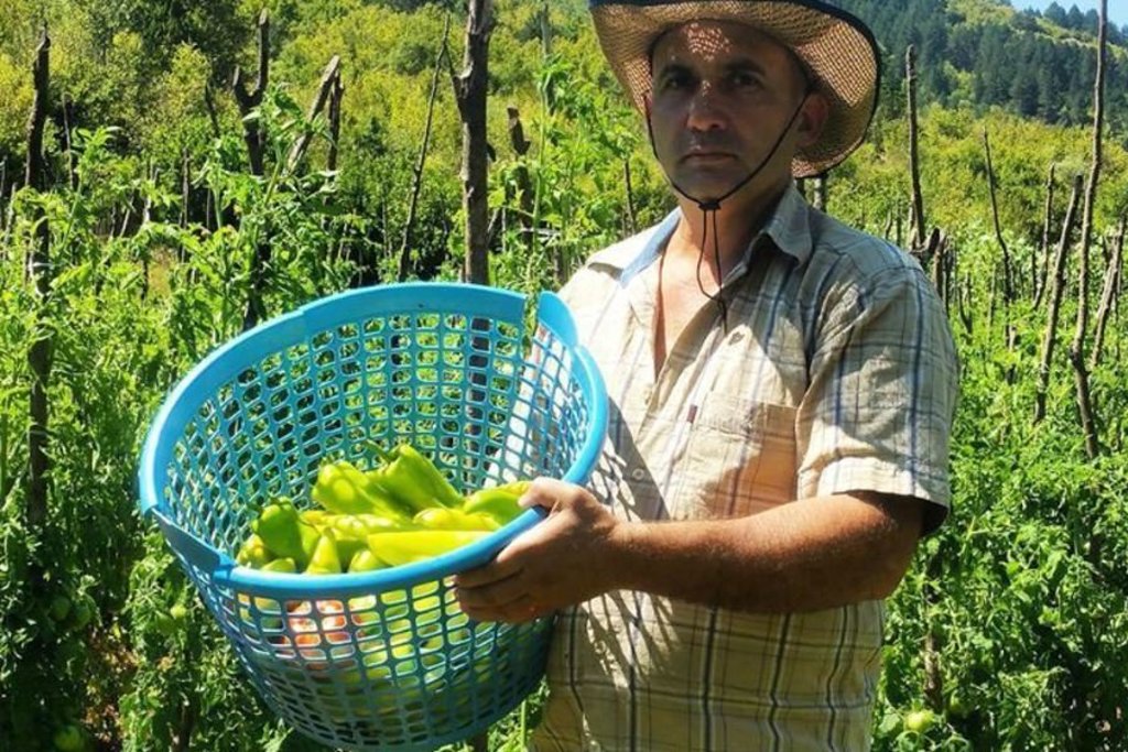 Man met hoed houdt mand met groene paprika’s vast in een moestuin in Albanië.