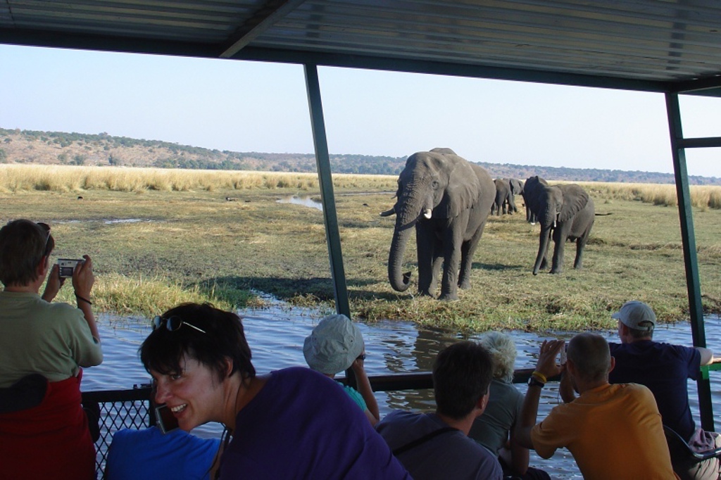 Groepsrondreis Zuidelijk Afrika: safari per boot langs olifanten bij een waterplas.
