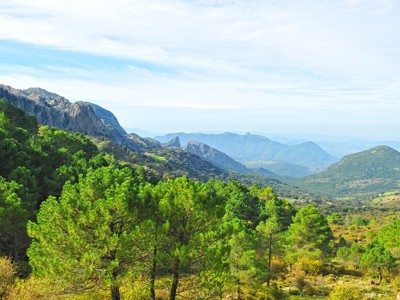 Panoramisch uitzicht op berglandschap met groene dennenbossen in Andalusië.