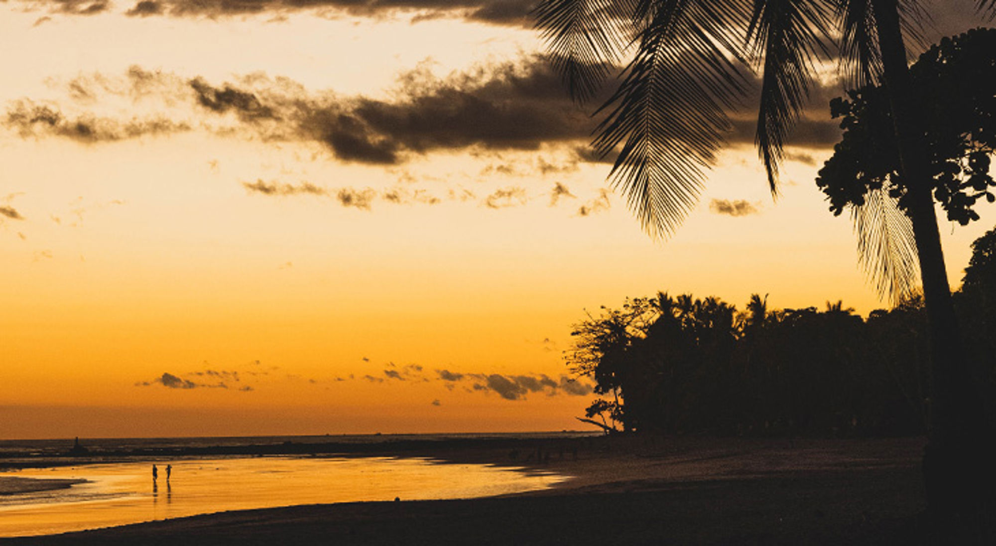 Zonsondergang op een strand in Costa Rica met palmbomen en silhouetten langs de kust.