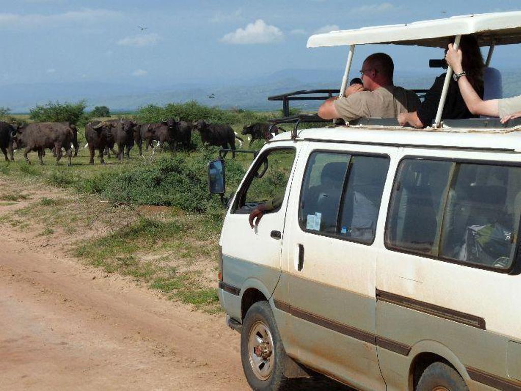 Safari-voertuig met open dak tijdens wildspotten in Oeganda.