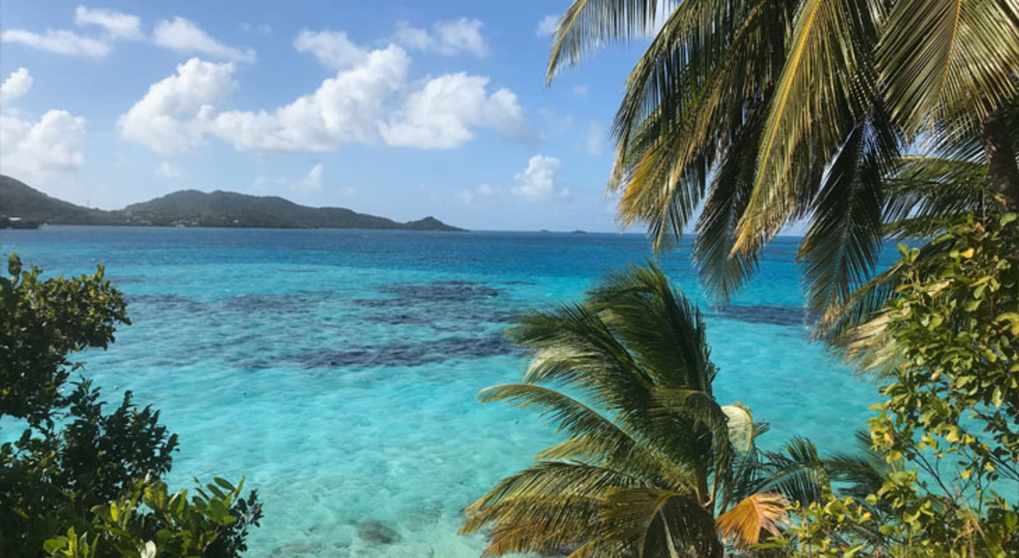 Turquoise zee met palmbomen en uitzicht op eilanden aan de Caribische kust van Colombia.