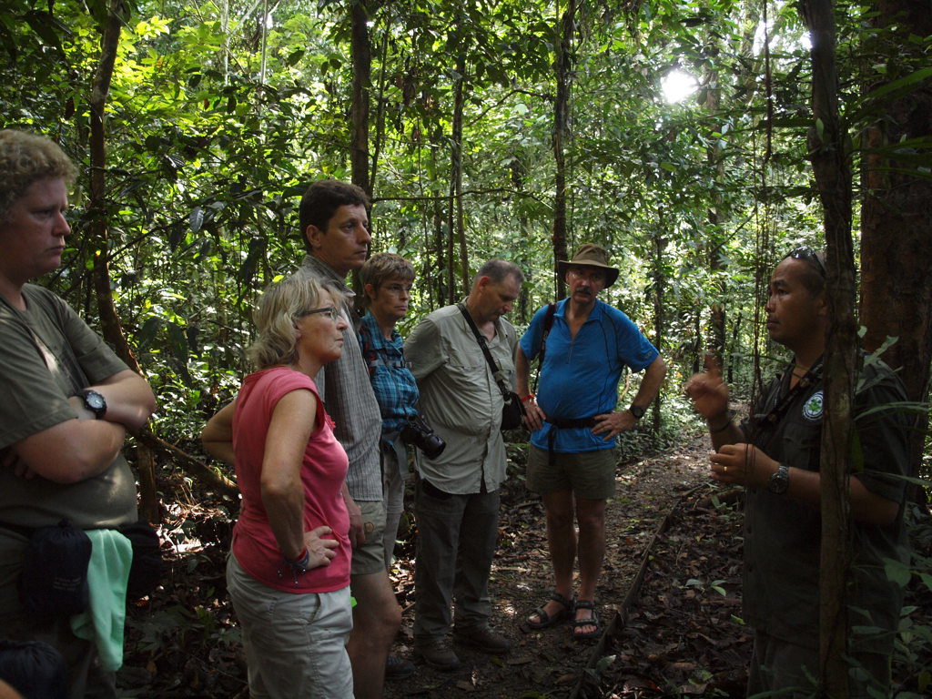 Groep reizigers luistert naar een gids tijdens een junglewandeling in Maleisisch Borneo.