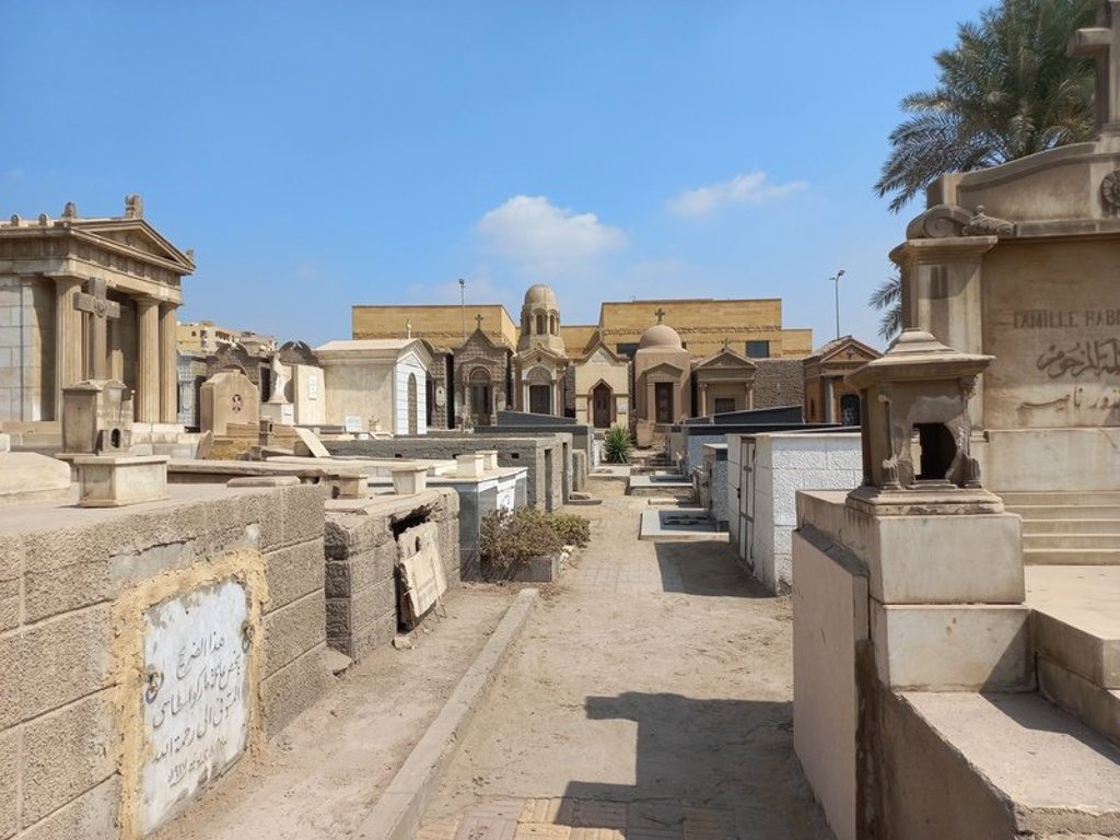 Uitzicht op de Nijl met palmbomen en traditionele zeilboten tijdens de groepsrondreis Egypte Hoogtepunten.