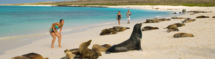 Familie op strand bij zeeleeuwen op de Galapagos-eilanden.