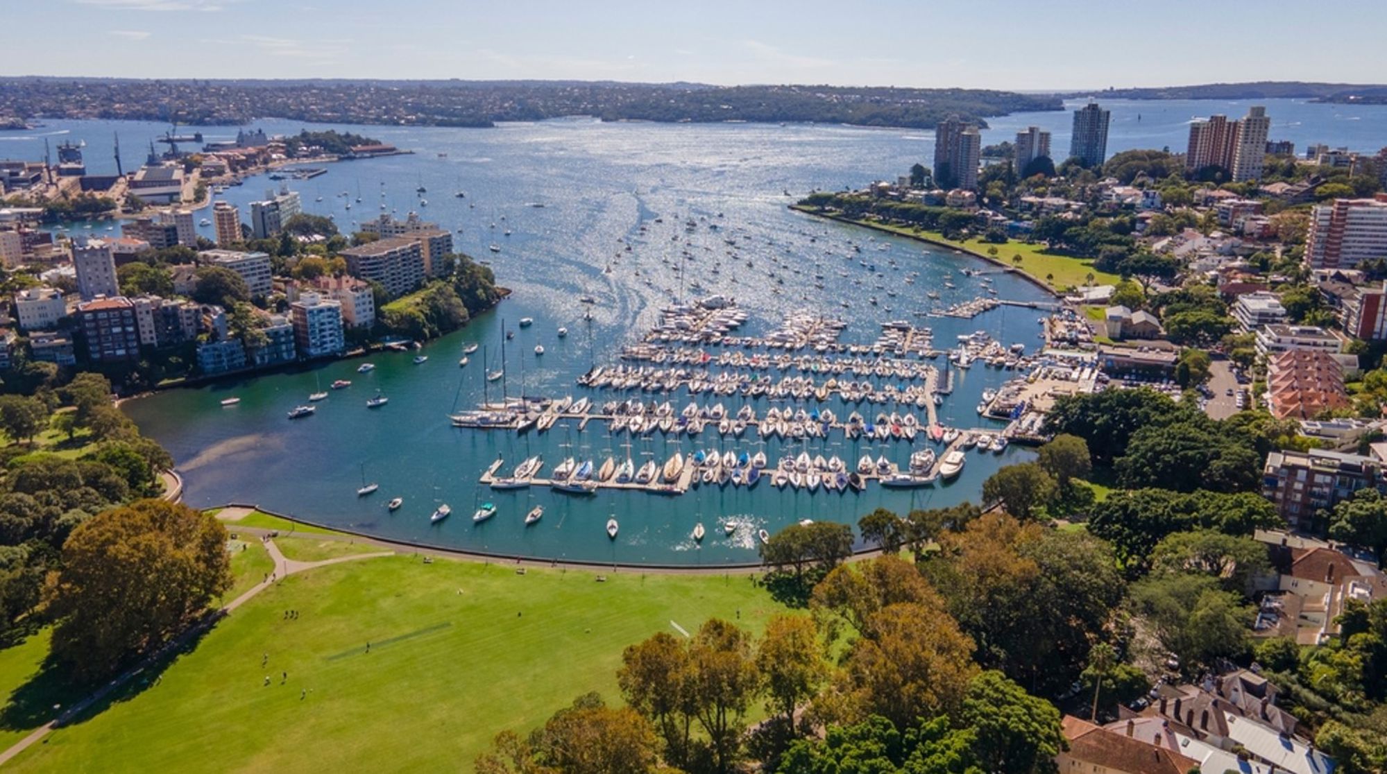 Uitzicht op Sydney Harbour met jachthaven vol zeilboten en skyline in Australië.