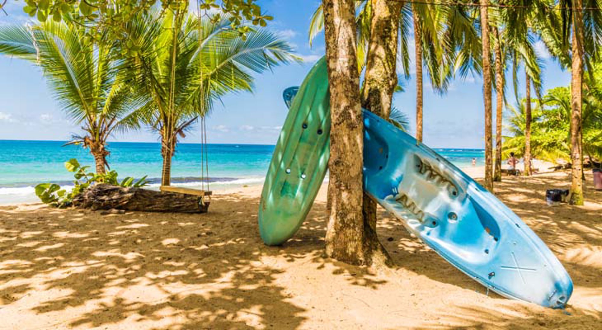 Surfing Puerto Viejo Nevelwoud in Costa Rica met hoge bomen en dichte groene begroeiing.