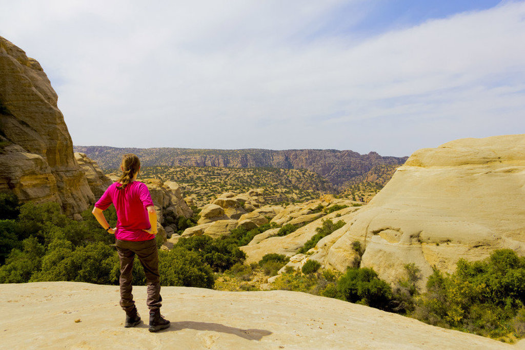 Wandelaar kijkt uit over rotslandschap en kloof in Jordanië tijdens een groepsrondreis.