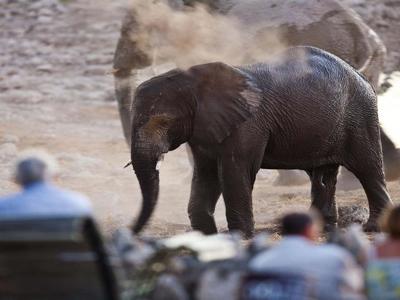 waterhole