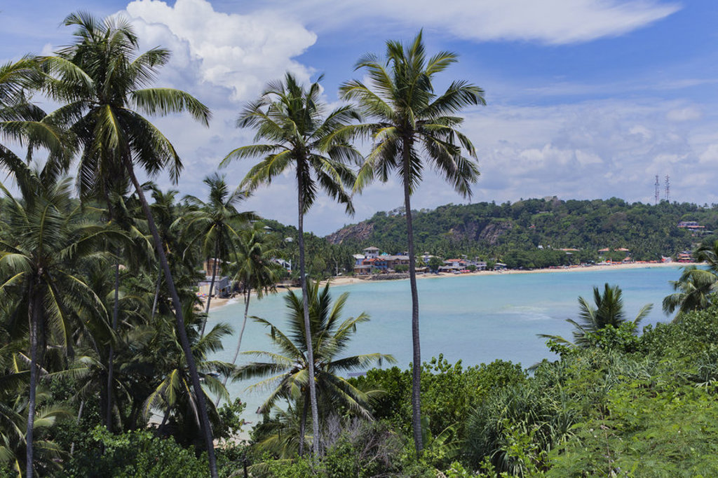 Palmbomen aan een baai met strand en turquoise zee tijdens groepsrondreis Sri Lanka Hoogtepunten.