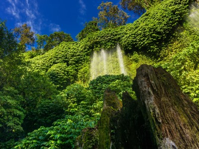 Waterval in weelderig groen regenwoud op de Route Kleine Sunda Eilanden.